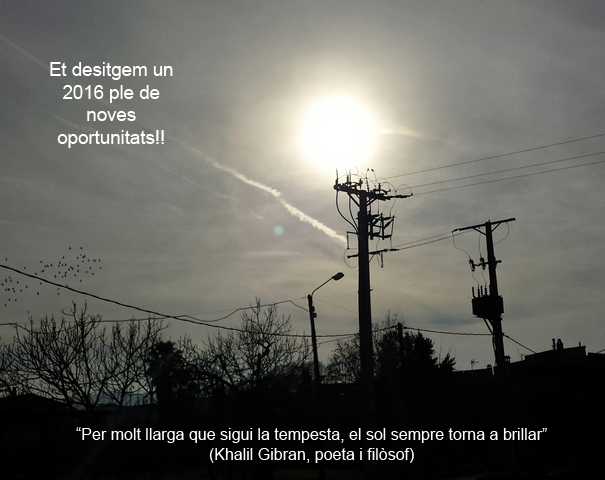 Bottini Nadal 2015_Cat